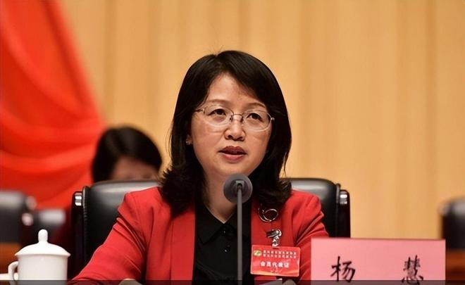 花4000万买别墅、850万装修 女厅官杨慧获刑14年3个月