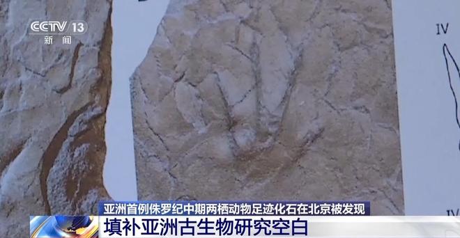 北京门头沟发现亚洲首例侏罗纪中期两栖动物足迹化石