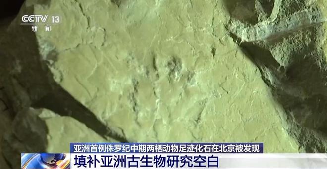 北京门头沟发现亚洲首例侏罗纪中期两栖动物足迹化石