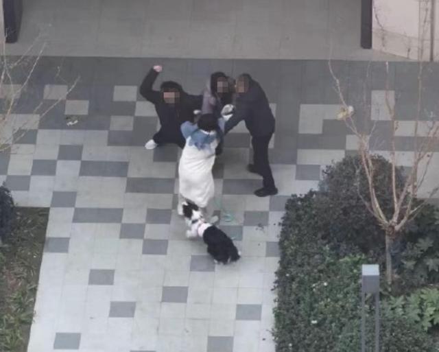 两男孩玩火点燃狗笼致狗被活活烧死 主人：不接受私了